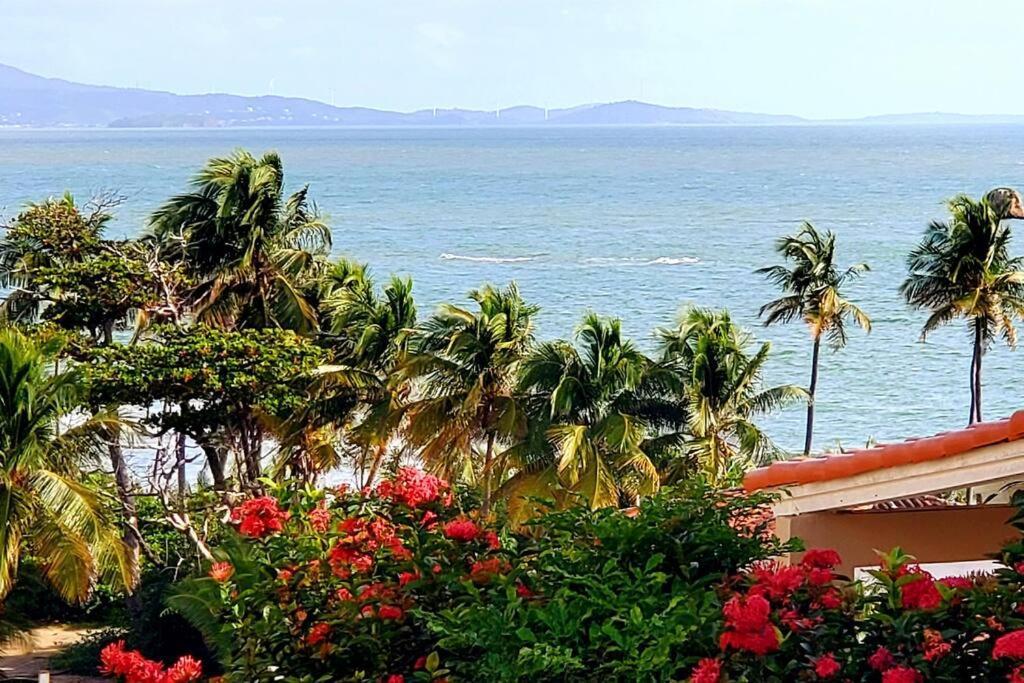 Portobello Palmanova, Palmas Del Mar, Humacao, Pr Exterior foto
